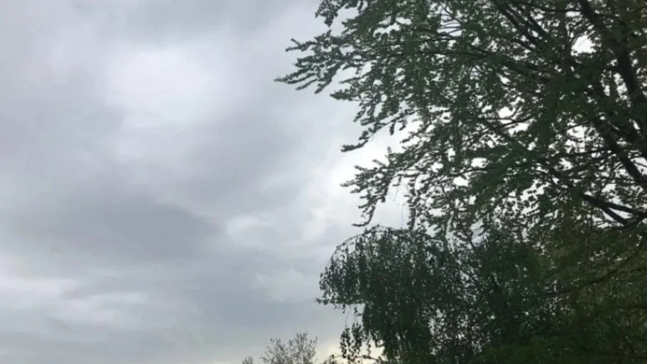 Vranësira mesatare dhe reshje shiu të herëpashershme  parashikimi i motit për këtë të premte