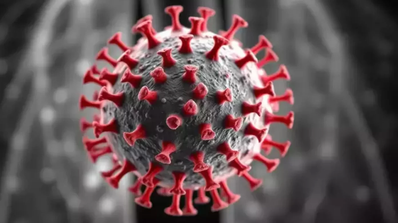Në Maqedoni s ka raste të hantavirus