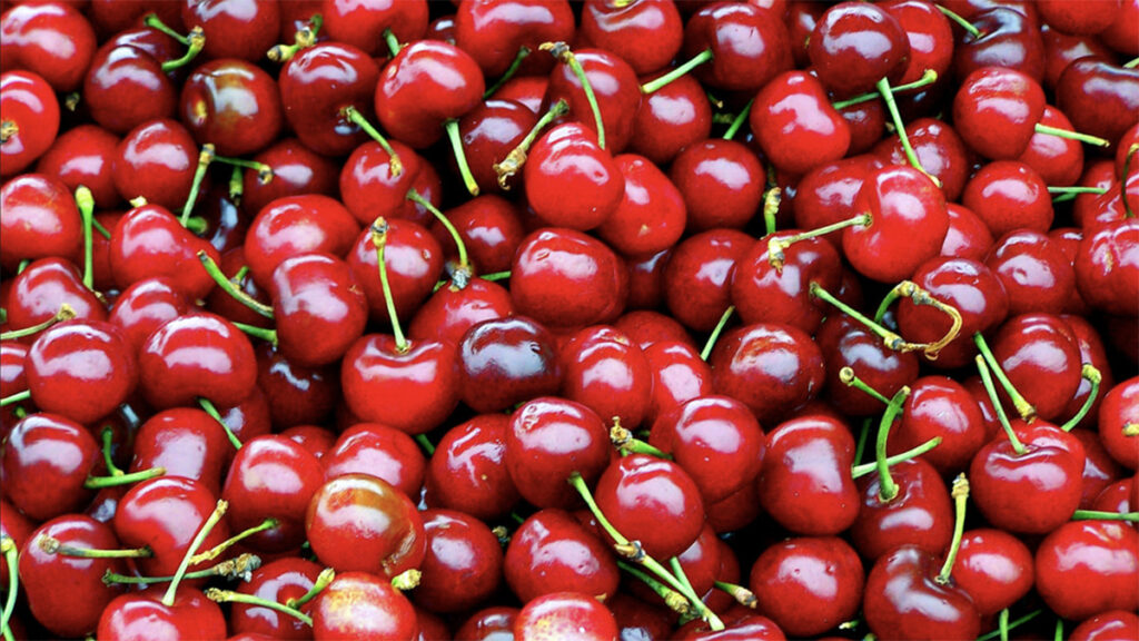 Çmime të larta të frutave në tregje, qershitë arrijnë deri në 400 denarë