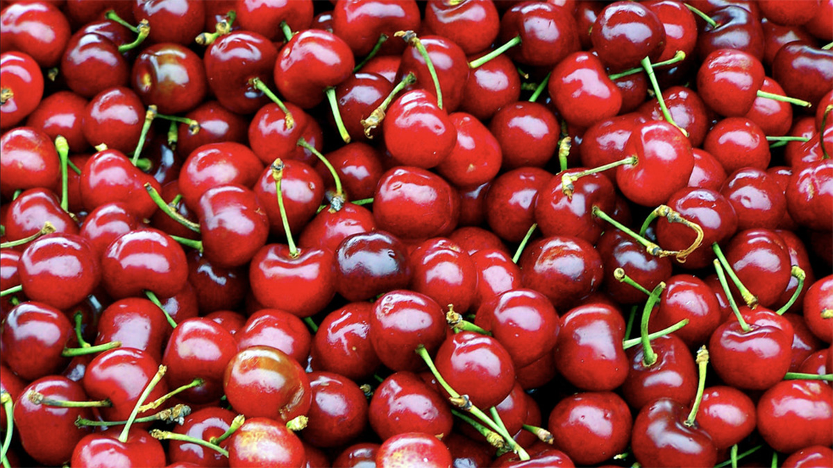 Çmime të larta të frutave në tregje  qershitë arrijnë deri në 400 denarë