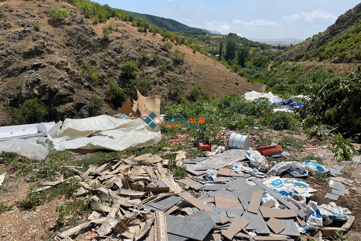 Maqedonia ka vetëm 13 inspektorë për mjedisin jetësor  a duhet shteti t i marrë ingerencat nga komunat 