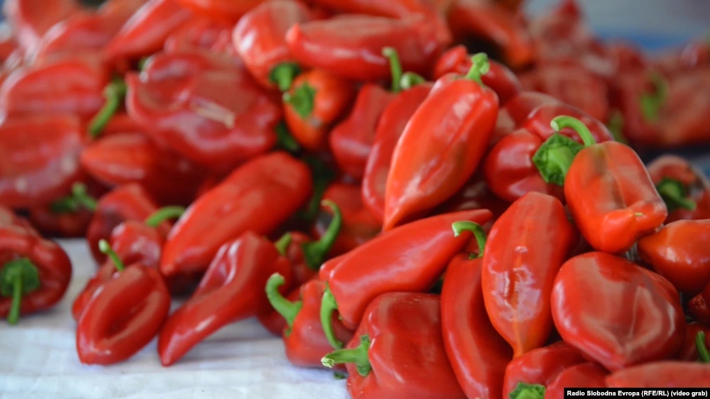Arrihet marrëveshje për çmimin e specit të ajvarit! 40 den/kg për klasin e parë, 30 denarë për klasin e parë-dytë
