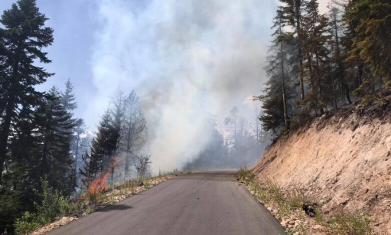 Zjarr në Elbasan, flakët u afrohen banesave