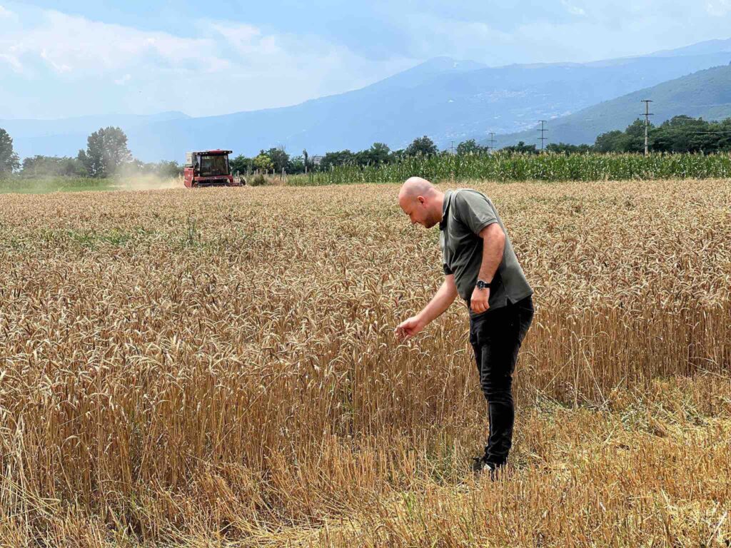 Hoxha: 461,5 milionë denarë për 23.874 fermerë, u realizuan pagesat për drithërat