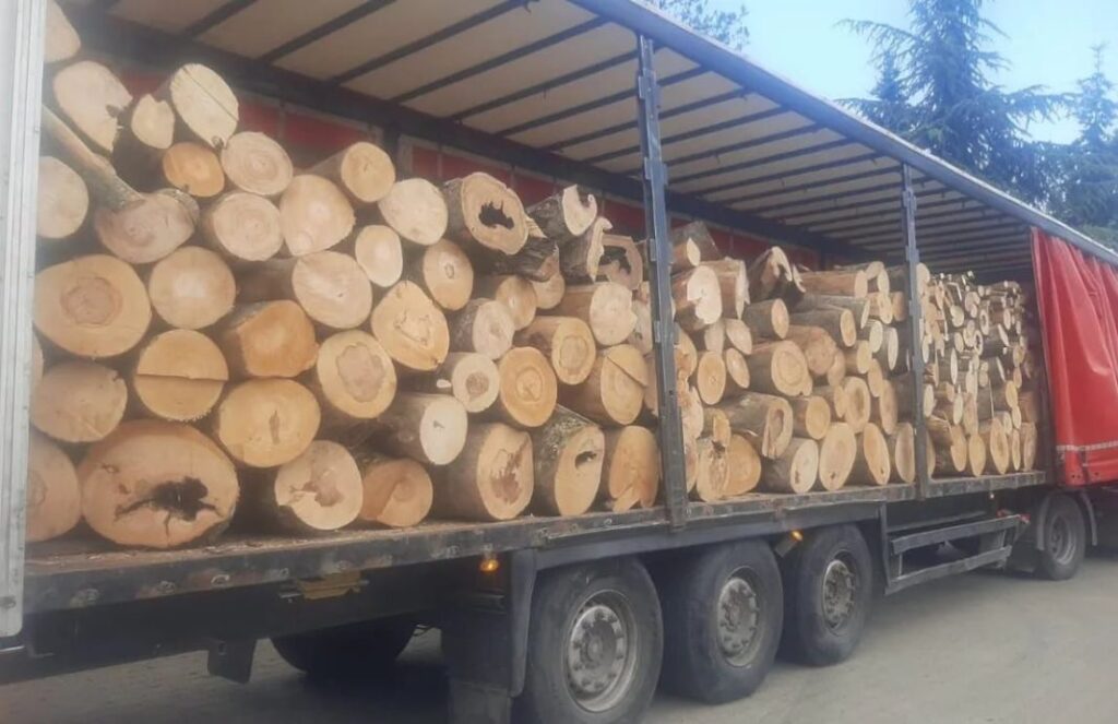 Goditje ndaj tregtisë së dyshimtë me dru, sekuestrohen 400 metra kub në Shkup
