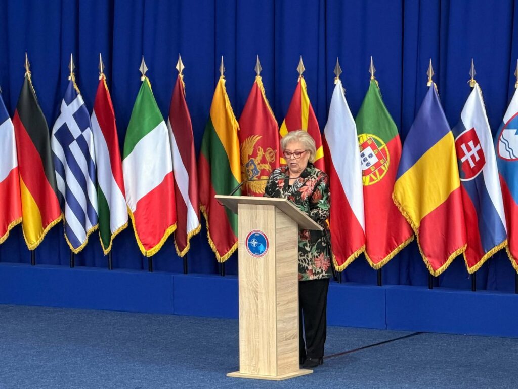 Shiroka Pula: Synojmë anëtarësimin në NATO